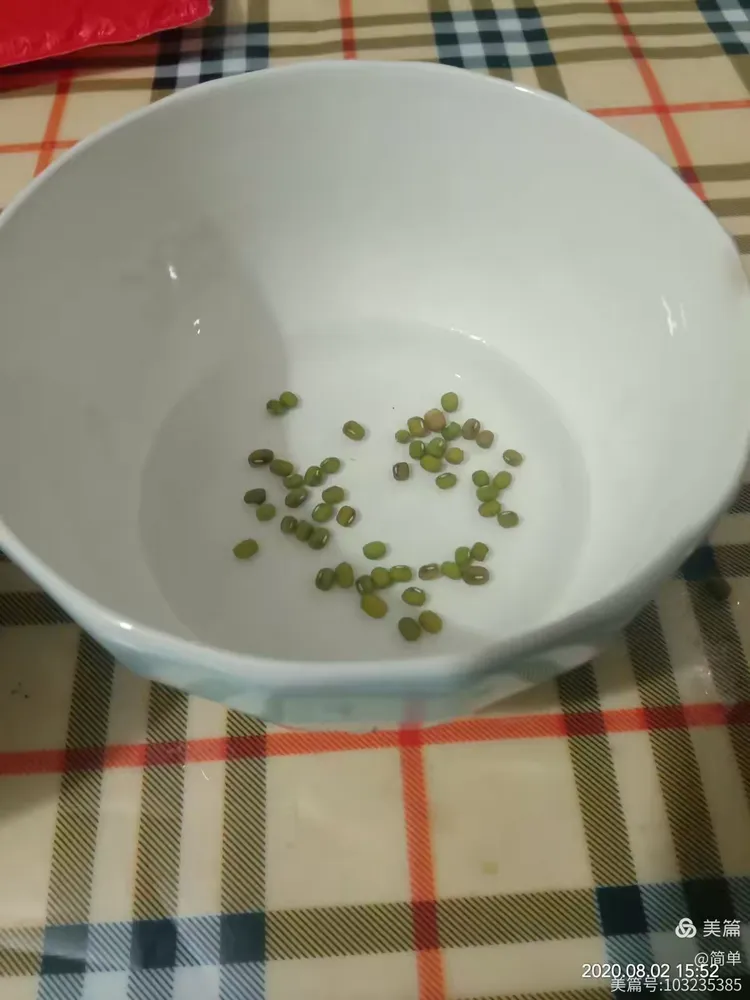 绿豆芽的生长过程